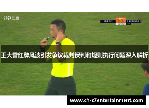 王大雷红牌风波引发争议裁判误判和规则执行问题深入解析