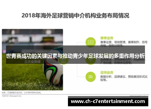 世青赛成功的关键因素与推动青少年足球发展的多重作用分析