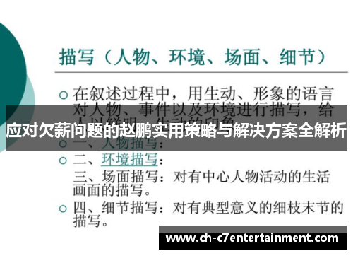 应对欠薪问题的赵鹏实用策略与解决方案全解析