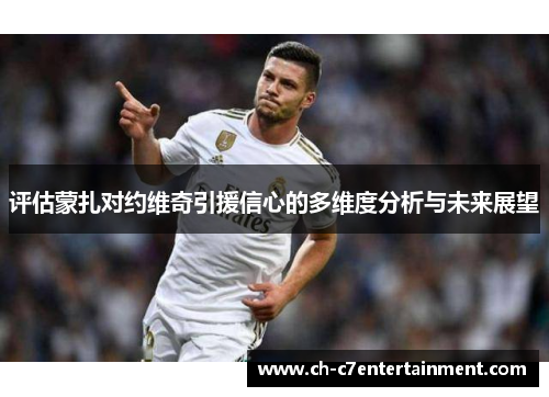 评估蒙扎对约维奇引援信心的多维度分析与未来展望