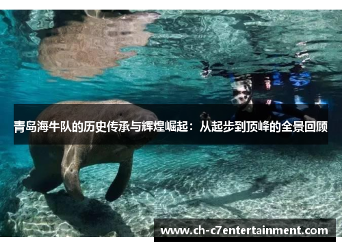 青岛海牛队的历史传承与辉煌崛起：从起步到顶峰的全景回顾