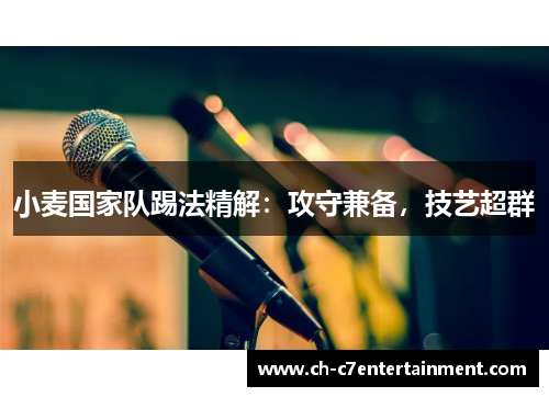 小麦国家队踢法精解：攻守兼备，技艺超群