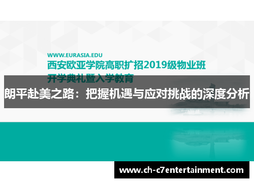 朗平赴美之路：把握机遇与应对挑战的深度分析