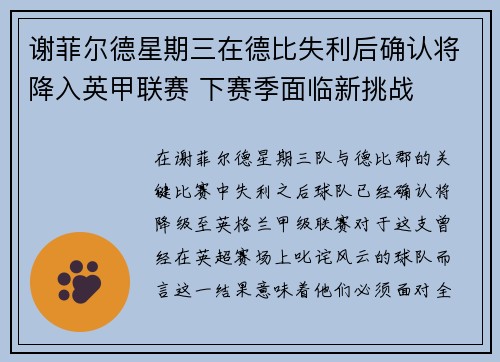 谢菲尔德星期三在德比失利后确认将降入英甲联赛 下赛季面临新挑战