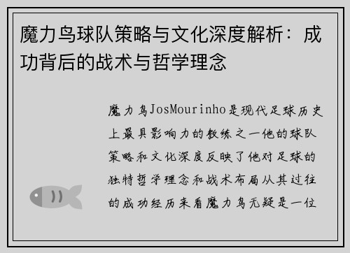 魔力鸟球队策略与文化深度解析：成功背后的战术与哲学理念